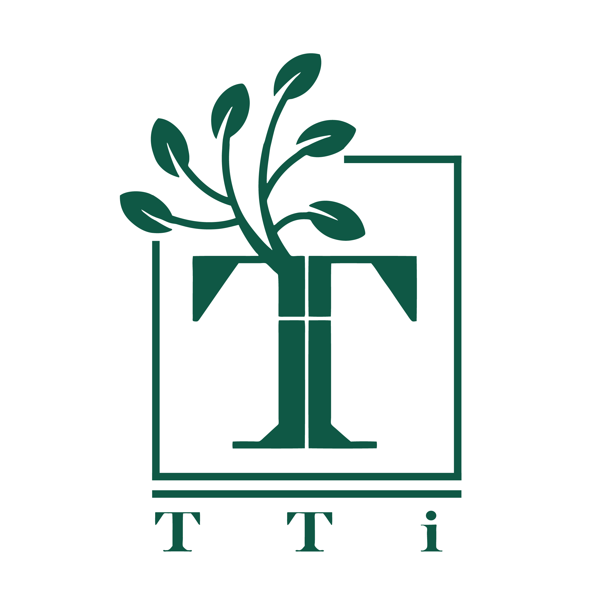 TTi